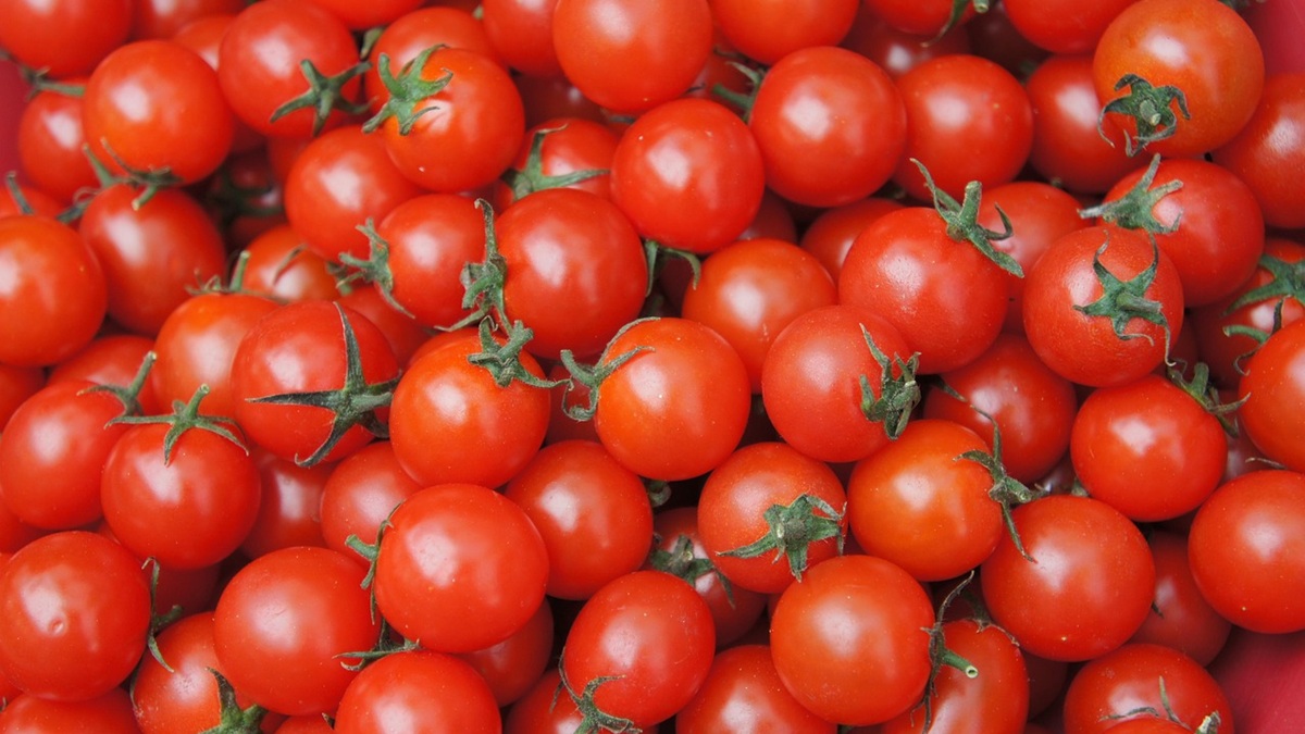 El tomate español será la estrella de Fruit Attraction 2025.jpg